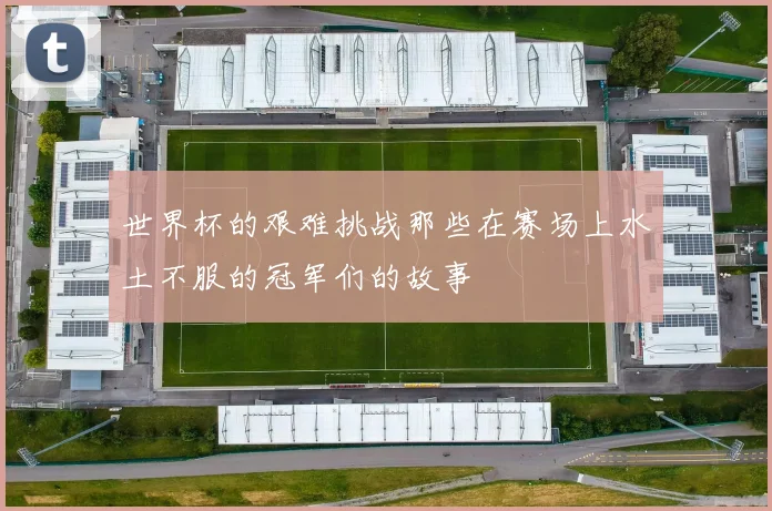 世界杯的艰难挑战那些在赛场上水土不服的冠军们的故事
