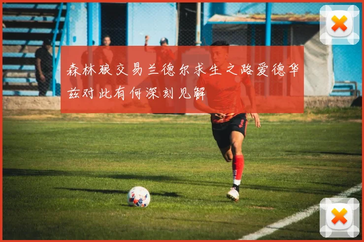 森林狼交易兰德尔求生之路爱德华兹对此有何深刻见解