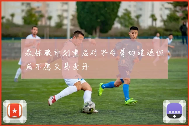 森林狼计划重启对字母哥的追逐但或不愿交易麦丹